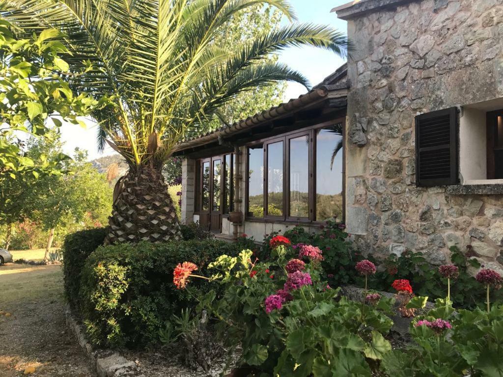 Can Petrel Pollença Εξωτερικό φωτογραφία